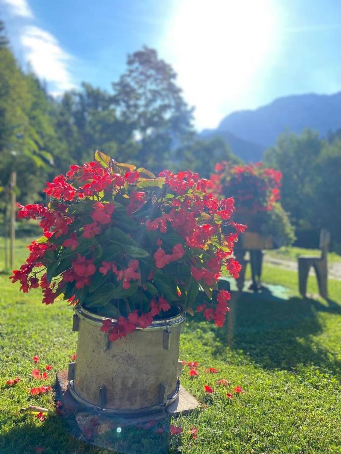 Villa Turisticna Kmetija Cercek à Solčava Extérieur photo