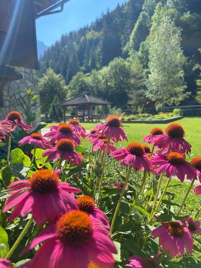 Villa Turisticna Kmetija Cercek à Solčava Extérieur photo